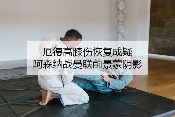 e-de-gao-xi-shang-hui-fu-cheng-yi-a-sen-na-zhan-man-lian-qian-jing-meng-yin-ying-2-240.jpg