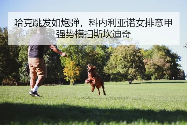 哈克跳发如炮弹，科内利亚诺女排意甲强势横扫斯坎迪奇